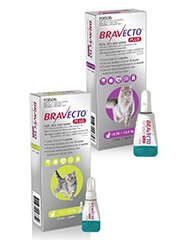 Bravecto Plus for Cats