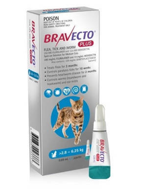 Bravecto Plus for Cats