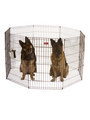 Standard Exercise Pen