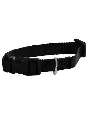 Guardian Gear Basic Nylon Dog Collar