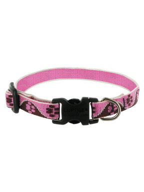 Lupine Tickled Pink Dog Collar