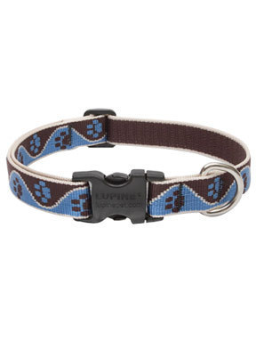 Lupine Muddy Paws Dog Collar at Joe's Pet Meds