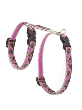 Lupine Tickled Pink H-Style Harness