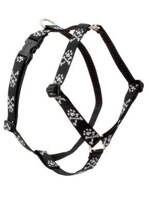 Romean Black Collar & Leash