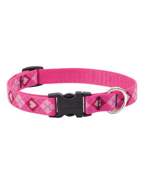 Lupine Puppy Love Dog Collar