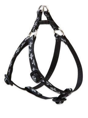 Lupine Silver Charm Step-in Harness