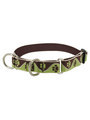 Lupine Mud Puppy Combo Collar