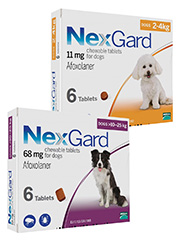 nexgard generic chewable